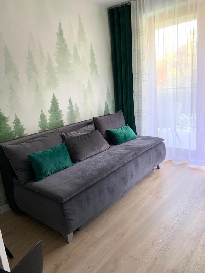 Apartament Skalisty Карпач Экстерьер фото