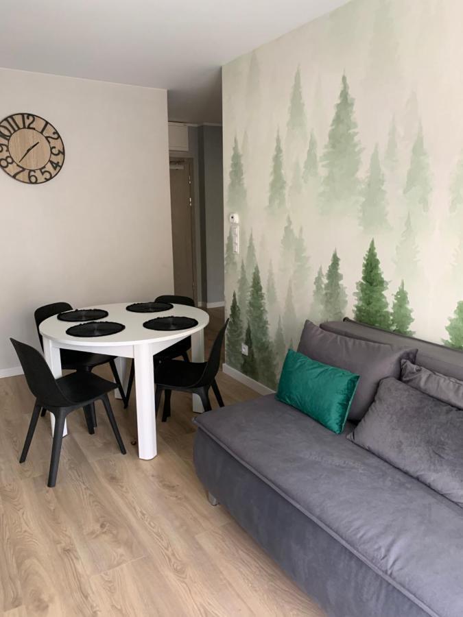 Apartament Skalisty Карпач Экстерьер фото
